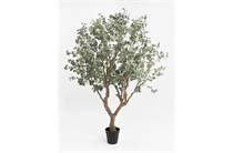 Coco Maison Eucalyptus Tree kunstplant H240cm 